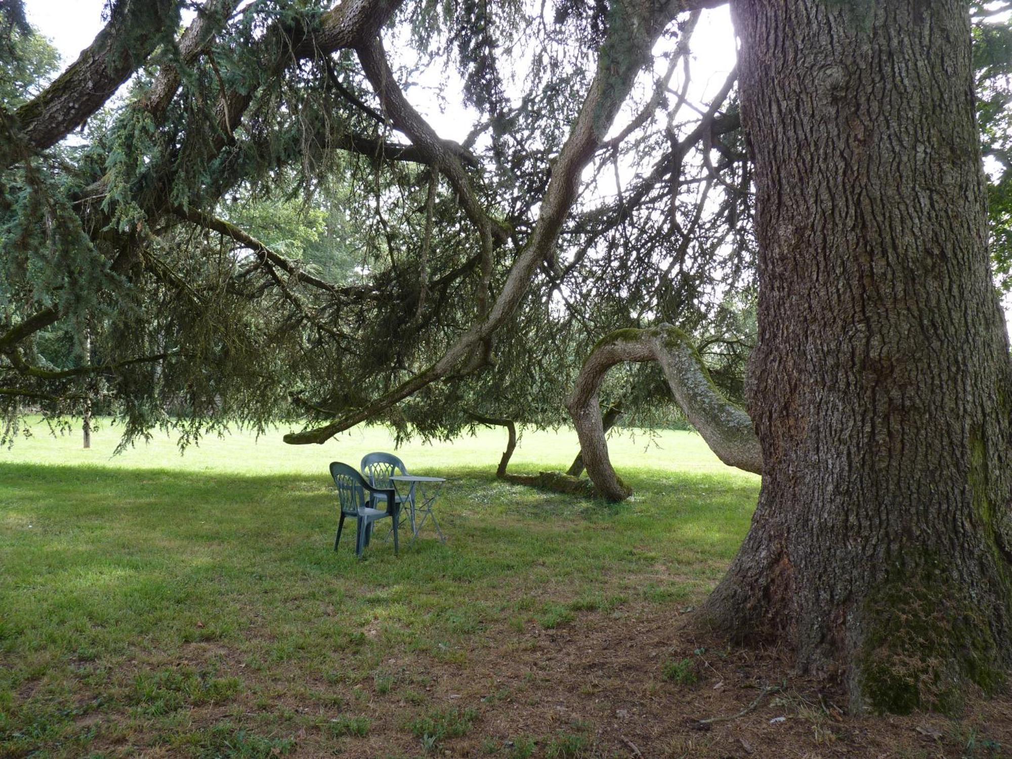 Comblessac Chateau De Craon المظهر الخارجي الصورة